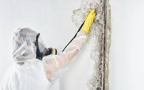 Best Mold Removal for HVAC Installations in Richwood, NJ